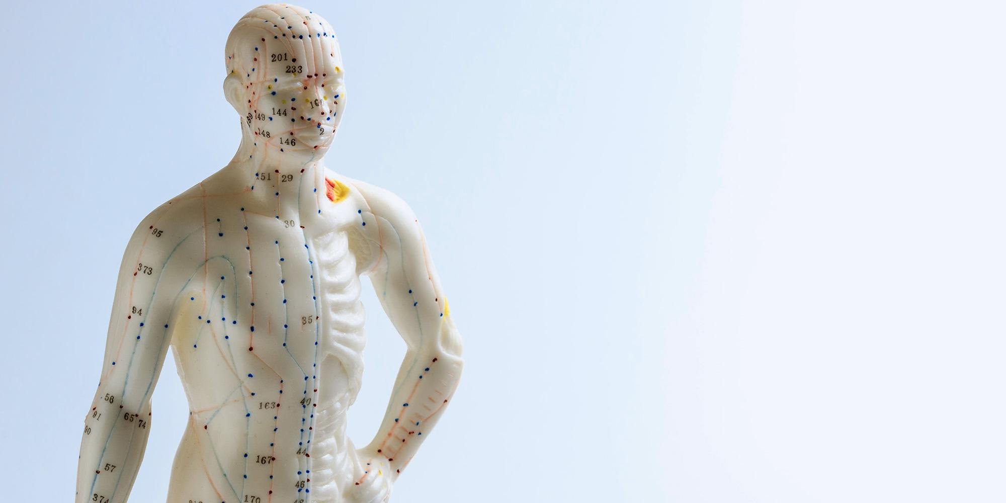 Acupuncture Fysiotherapie Bezuidenhout Den Haag